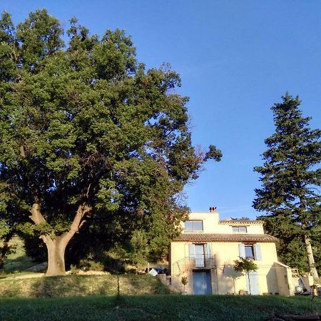 Maison D'Hotes Du Grand Chene Valensole Kültér fotó