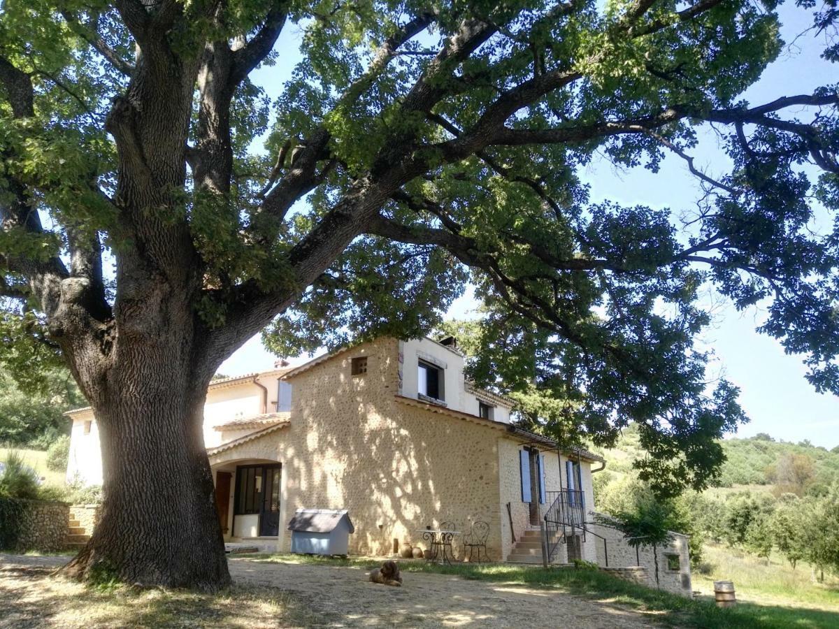 Maison D'Hotes Du Grand Chene Valensole Kültér fotó