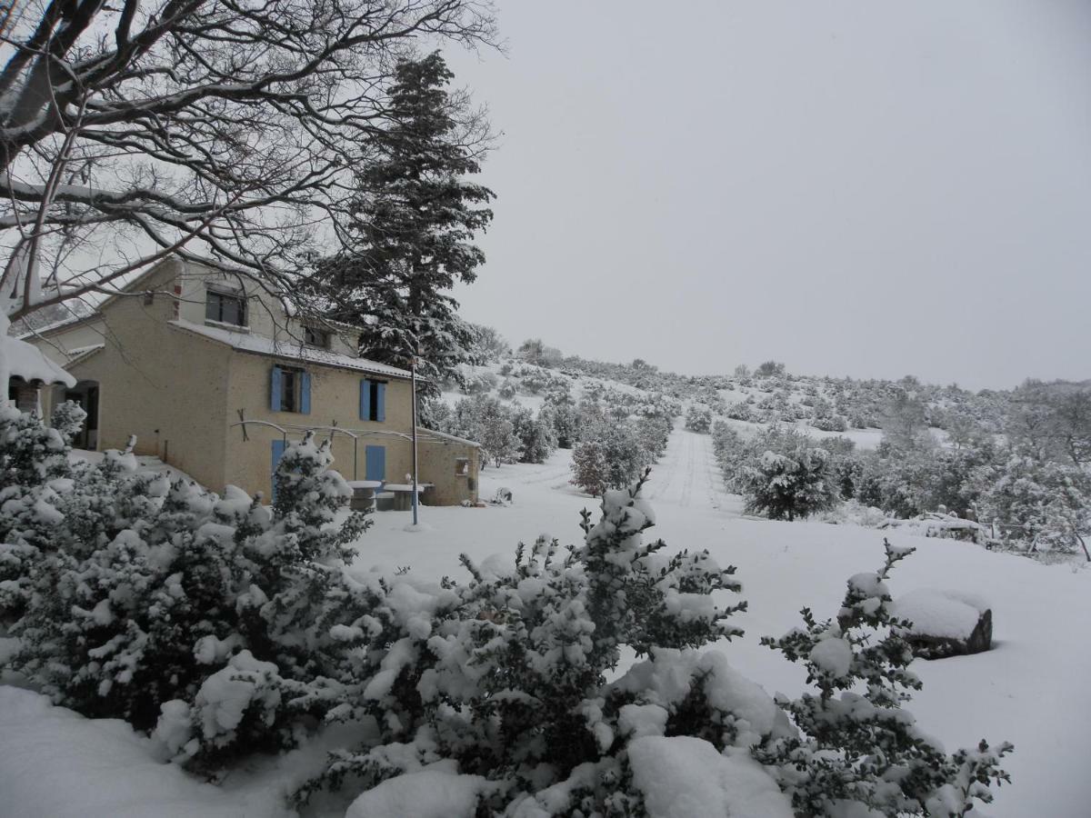 Maison D'Hotes Du Grand Chene Valensole Kültér fotó