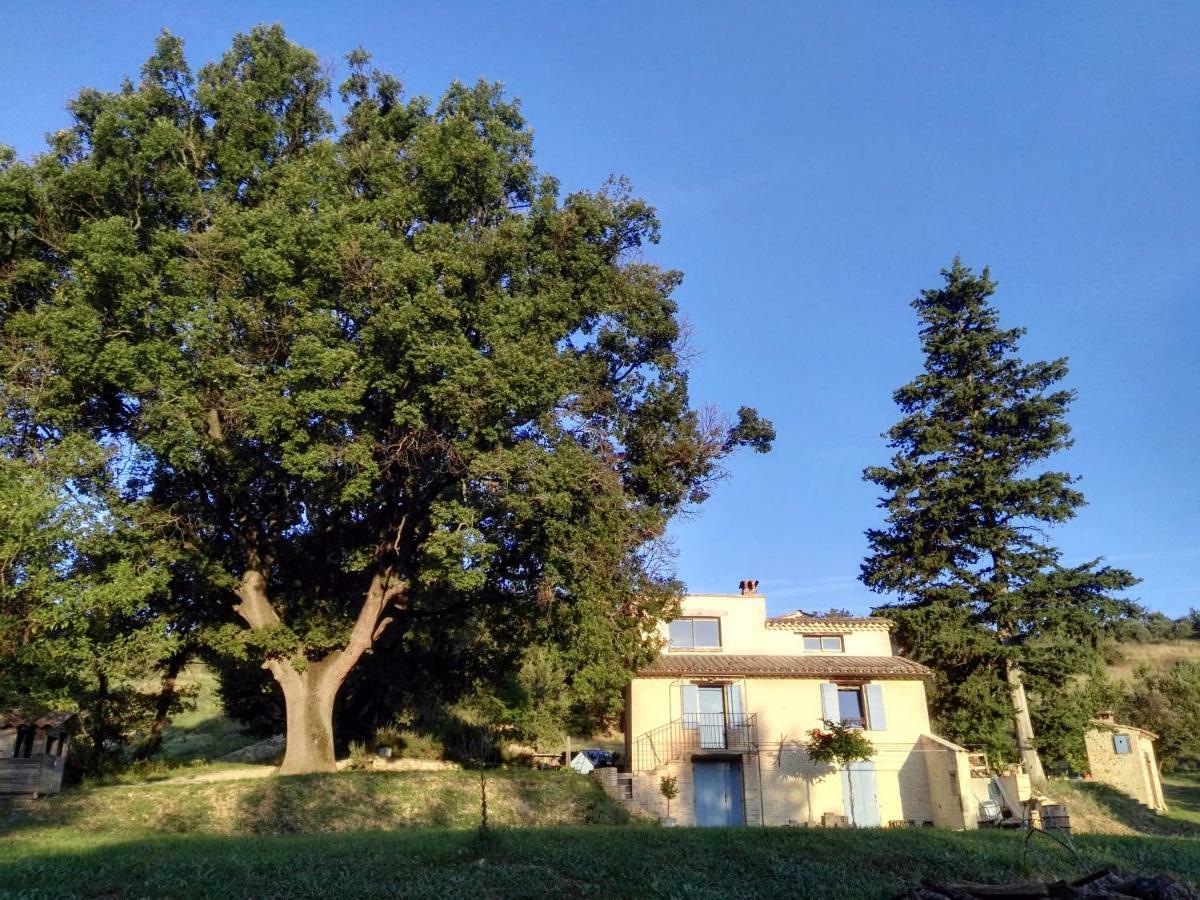 Maison D'Hotes Du Grand Chene Valensole Kültér fotó