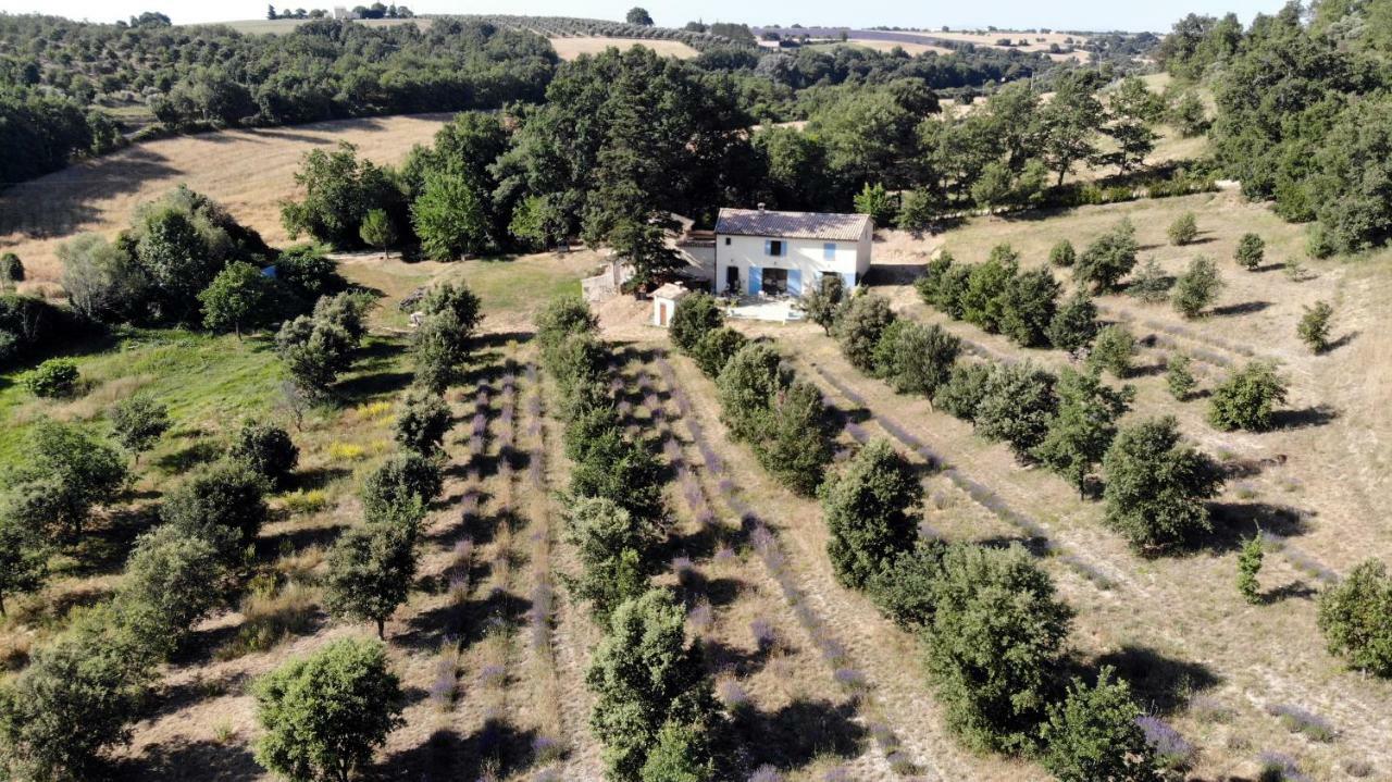 Maison D'Hotes Du Grand Chene Valensole Kültér fotó