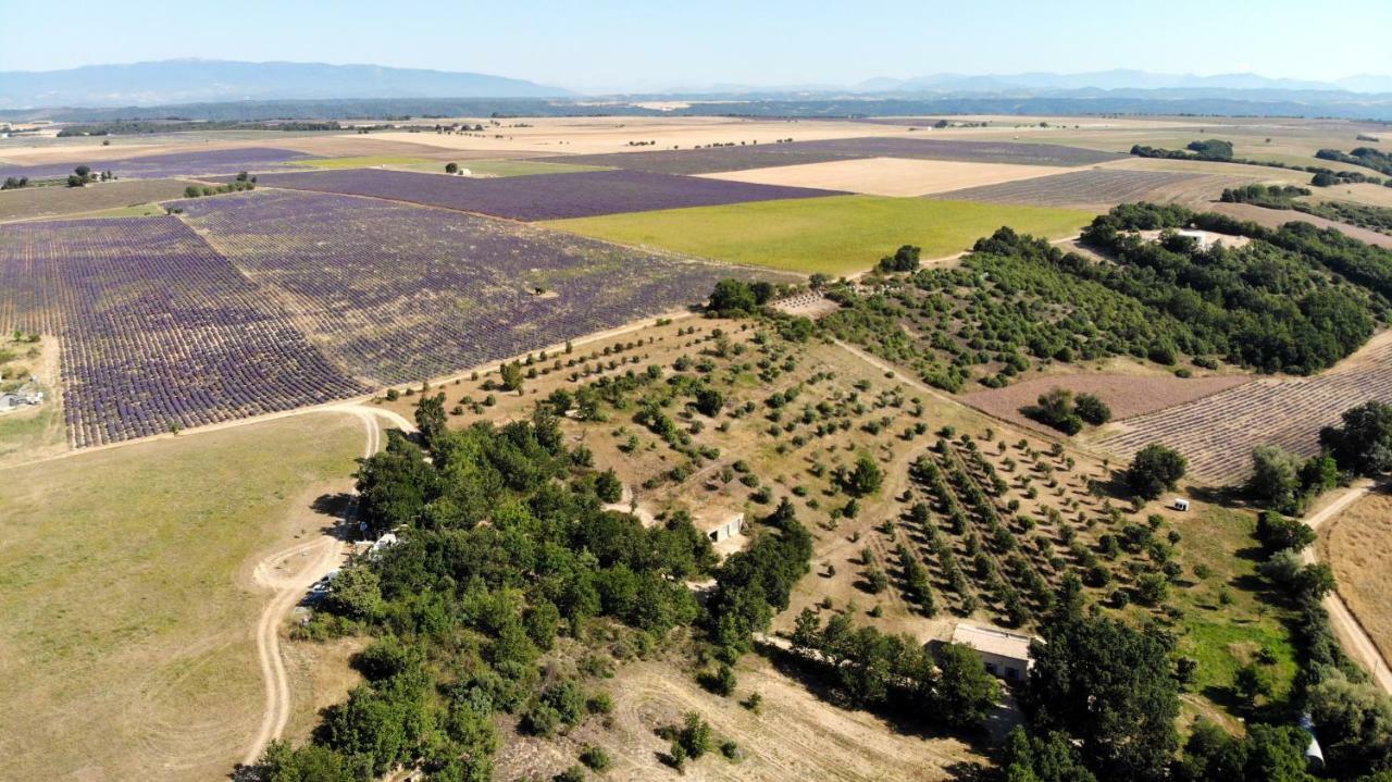 Maison D'Hotes Du Grand Chene Valensole Kültér fotó